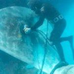 d3a5c5dd-314b-4dc3-9105-0bf3d3e7db4d